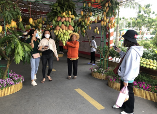 ‘Xoài nào ngon bằng xoài Cao Lãnh’ khiến khách dự lễ hội mê mẩn