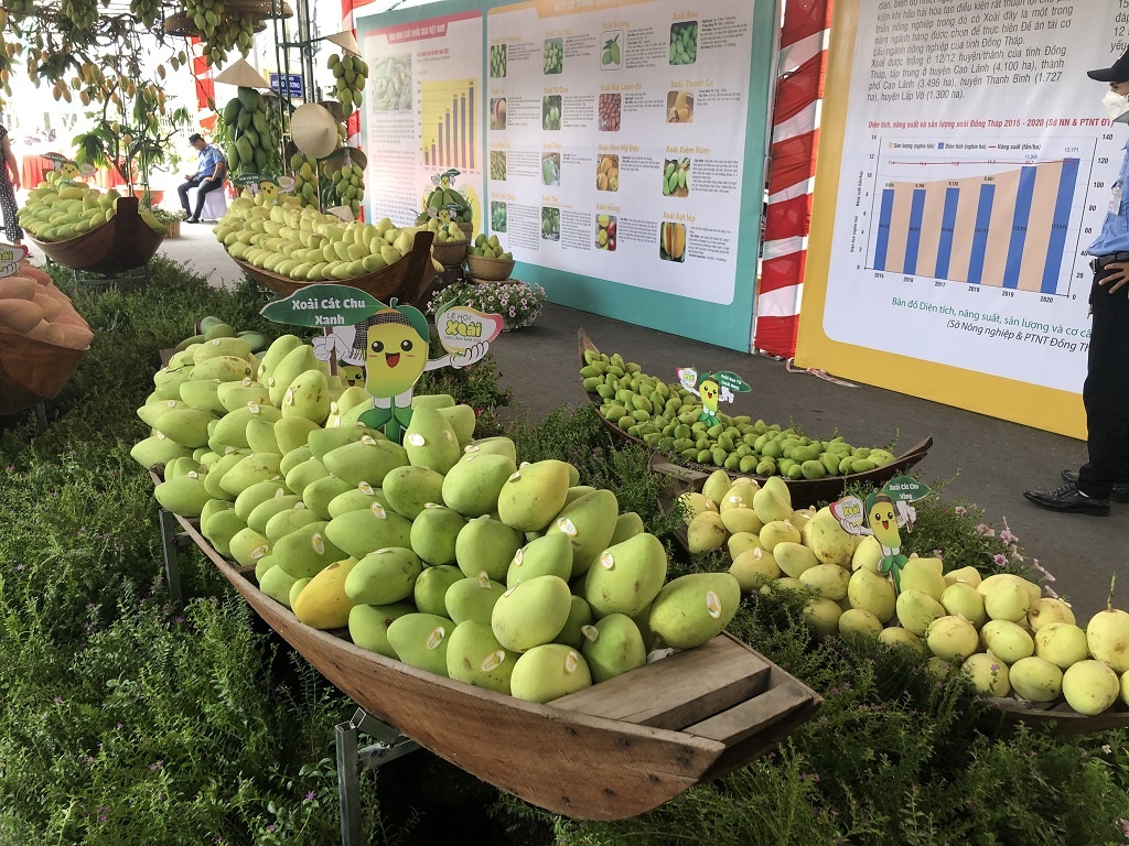 'Xoài nào ngon bằng xoài Cao Lãnh' khiến khách dự lễ hội mê mẩn - ảnh 3