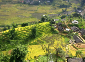 Tây Bắc TV: Khám Phá Vẻ Đẹp Văn Hoá và Du Lịch của Miền Tây Bắc Việt Nam