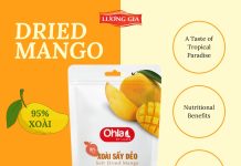 Dried Mango: Món Ăn Vừa Tiện Lợi, Vừa Dinh Dưỡng Cho Người Bận Rộn
